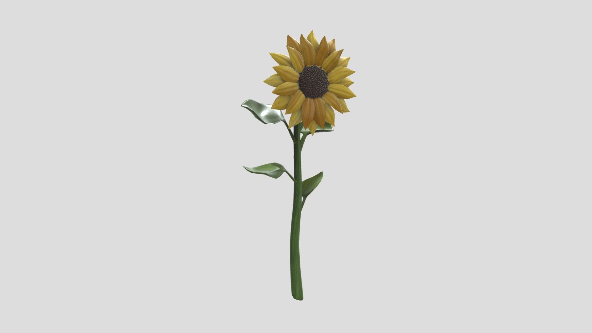 Sunflower - 3D model by maliabz 3d model
