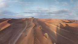 "Sandswept Serenity: Journey into the Dunes