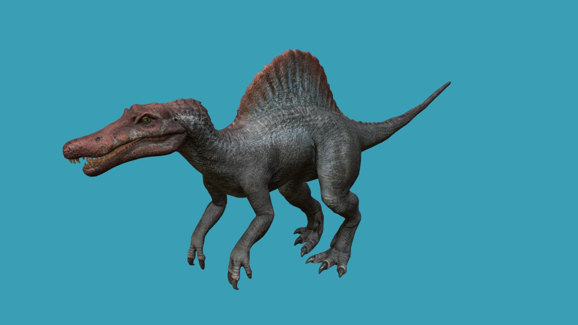 Simple Idle animation for this spinosaurus
&ldquo;Jurassic Park 3 - Spinosaurus