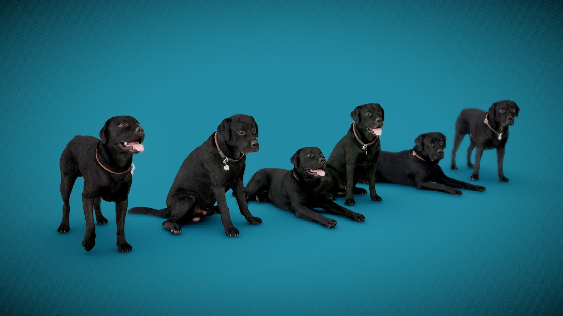 3d-dog-scans using photogrammetry technique, simplified polycount




six models à 20-50K triangles

4K DiffuseColorTextures

real scale

watertight

separated models including textures in additional files attached

3d-ScanService: https://www.optimission.de - DOGs Six Pack A - Buy Royalty Free 3D model by Frank.Zwick (@Frank_Zwick) 3d model