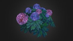 Hydrangea flower, bush, hydrangea