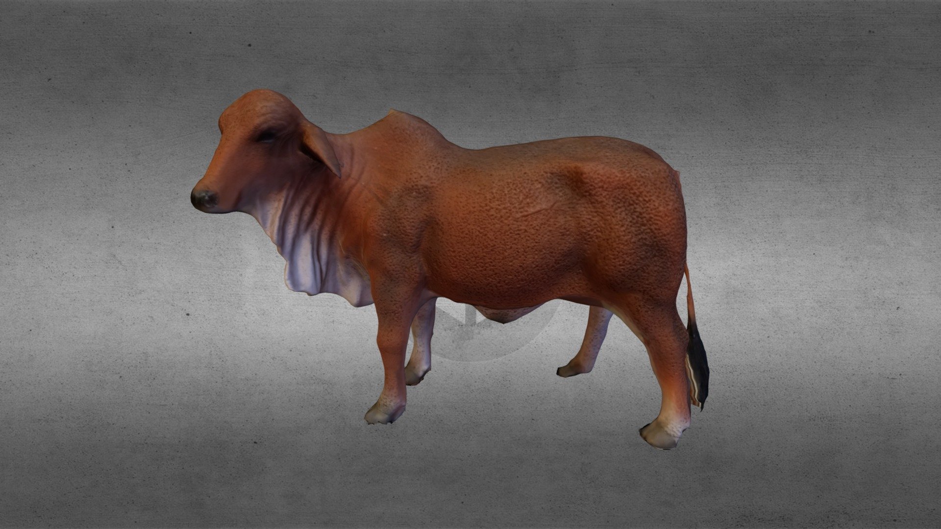 CollectA Cow - Cow - 3D model by airguy 3d model