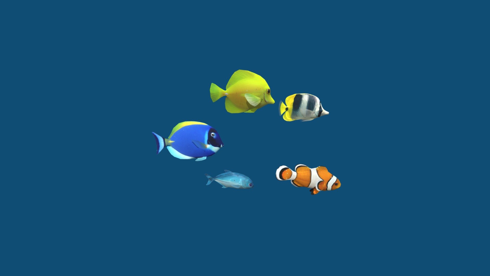 ! There is my 2nd version of this pack with 6 fish https://skfb.ly/osZQJ 



Coral Fish Pack

include 5 animations:

1 Clownfish.................... (idle 0-193)

2 Double-Saddle fish.... (idle 0-250)

3 Blue Tang ....................(idle 0-270)

4 Yellow Tang .................(idle 0-248)

5 Caranx......................... (idle 0-60) - Coral Fish Pack 5 - 3D model by Mikhail Nesterov (@cgsoul) 3d model