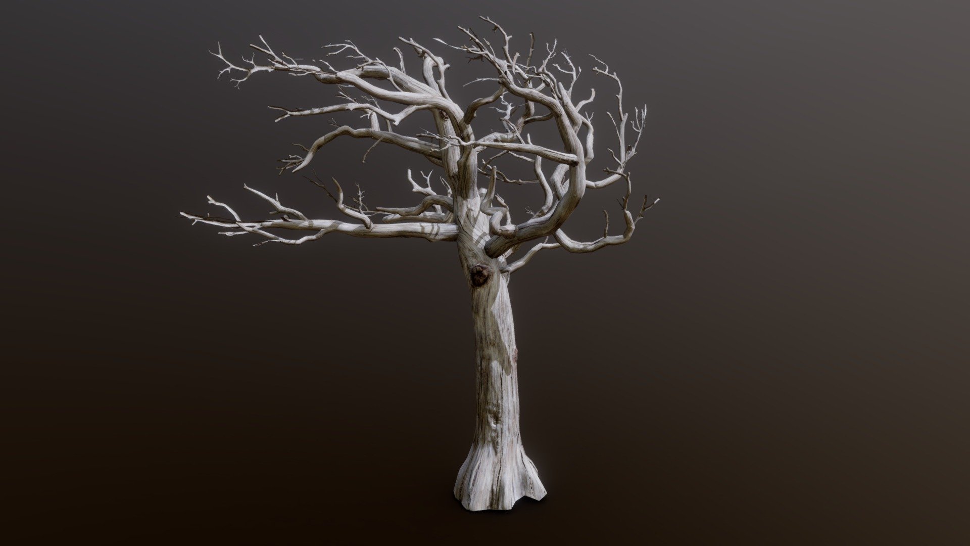 Whitebark Pine Dead - Whitebark Pine Dead - 3D model by tobyfredson 3d model