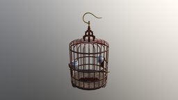 Cage for bird 