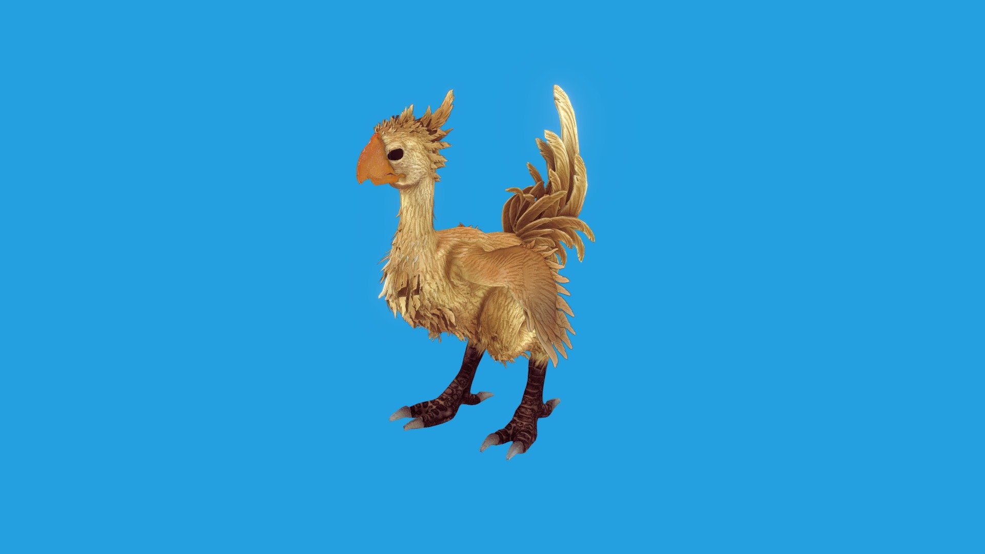 Had the pleasure of rigging and animating this fun Chocobo made by Lauren Westlake! Check out her work its sick https://sketchfab.com/eden-west - Chocobo Animated! - 3D model by wozzledozzle 3d model