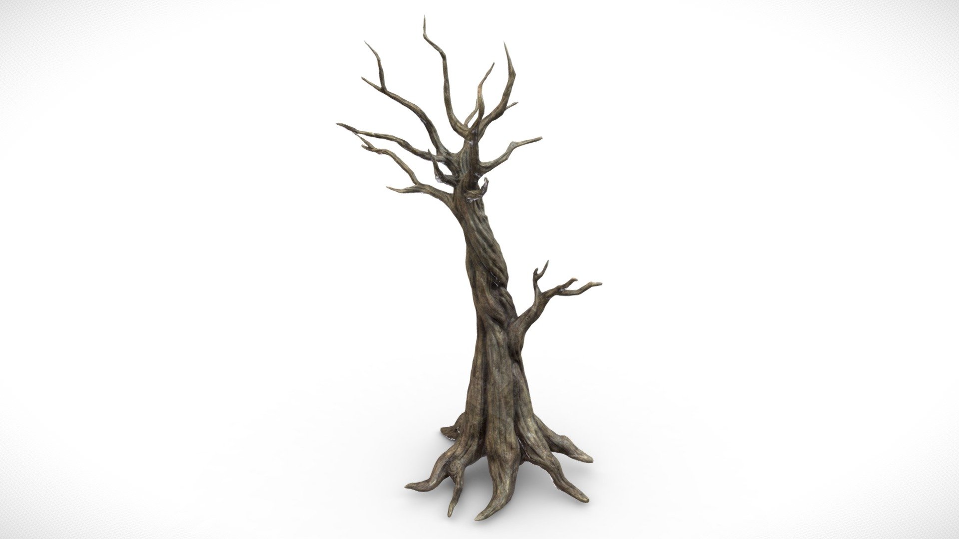 This Tree Mesh is made up of 1 UV Map, with 4096x4096 resolution.
Textures contained are:
- Diffuse
- Metallic
- Normal
- Roughness - Fantasy Dark Forest Tree G - Scary - 4k - Buy Royalty Free 3D model by Davis3D 3d model
