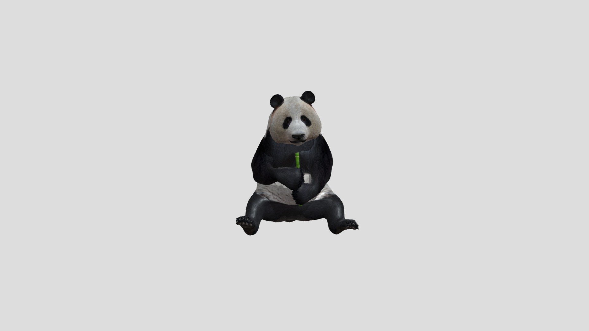 Panda realistic animal farm rigged animated - Panda - Buy Royalty Free 3D model by Phil3D (@philosophie) 3d model