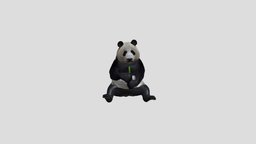 Panda panda, farm, realistic, animal, animated, rigged