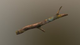 Branch tree, green, plant, forest, biology, vr, 4k, branch, virtualreality, realistic, moss, realism, virtual_reality, woods, 3d-model, lichen, virtual-reality, vrready, vrgame, forestal, wood