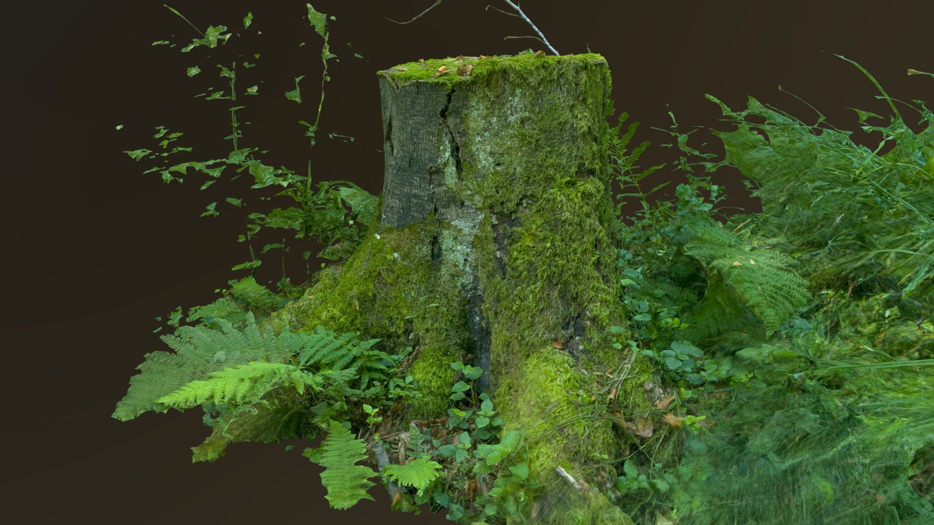 Scan of an bigger mossy tree stump.

Sound is from freesound.org - Bigger mossy tree stump - Download Free 3D model by nedo 3d model