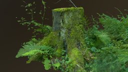 Bigger mossy tree stump tree, stump, treestump, stumpchallenge, baumstumpf, photogrammetry