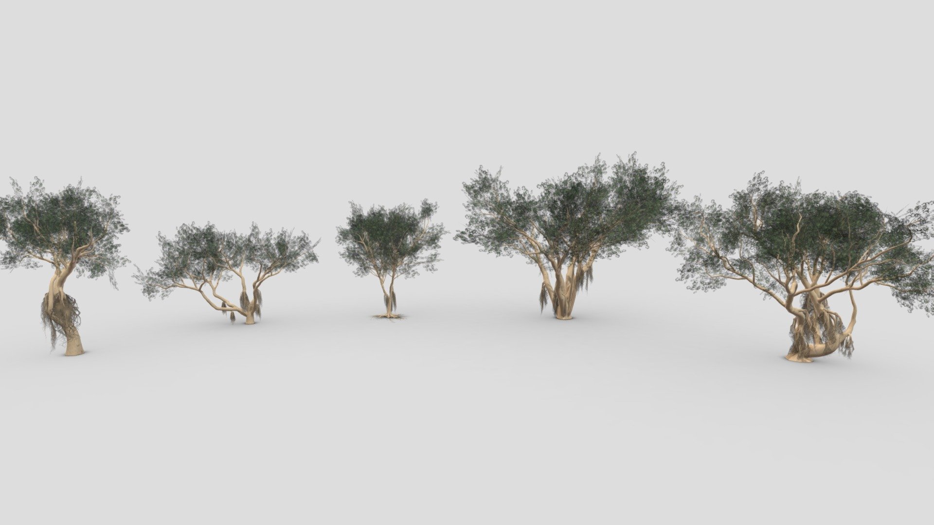 This file includes a collection of 5 3D Models of the Ficus Benjamina Tree.

Note; This is the Fourth collection of Ficus Benjamina Tree.

Ficus Benjamina Tree-S16: https://sketchfab.com/3d-models/ficus-benjamina-tree-s16-aa83458844fe4033b1f0792e5d842326

Ficus Benjamina Tree-S17: https://sketchfab.com/3d-models/ficus-benjamina-tree-s17-88c9bf1df6884d4e8b8ef30f2a720068

Ficus Benjamina Tree-S18: https://sketchfab.com/3d-models/ficus-benjamina-tree-s18-6371be367b9d4f55b3fe17063c02e19f

Ficus Benjamina Tree-S19: https://sketchfab.com/3d-models/ficus-benjamina-tree-s19-78081080da1e46549e5c4a1ea50cc1a3

Ficus Benjamina Tree-S20: https://sketchfab.com/3d-models/ficus-benjamina-tree-s20-7fe16c1aa6cc4d909d9549c94199c099 - Ficus Benjamina Tree- Pack 04 - Buy Royalty Free 3D model by ASMA3D 3d model