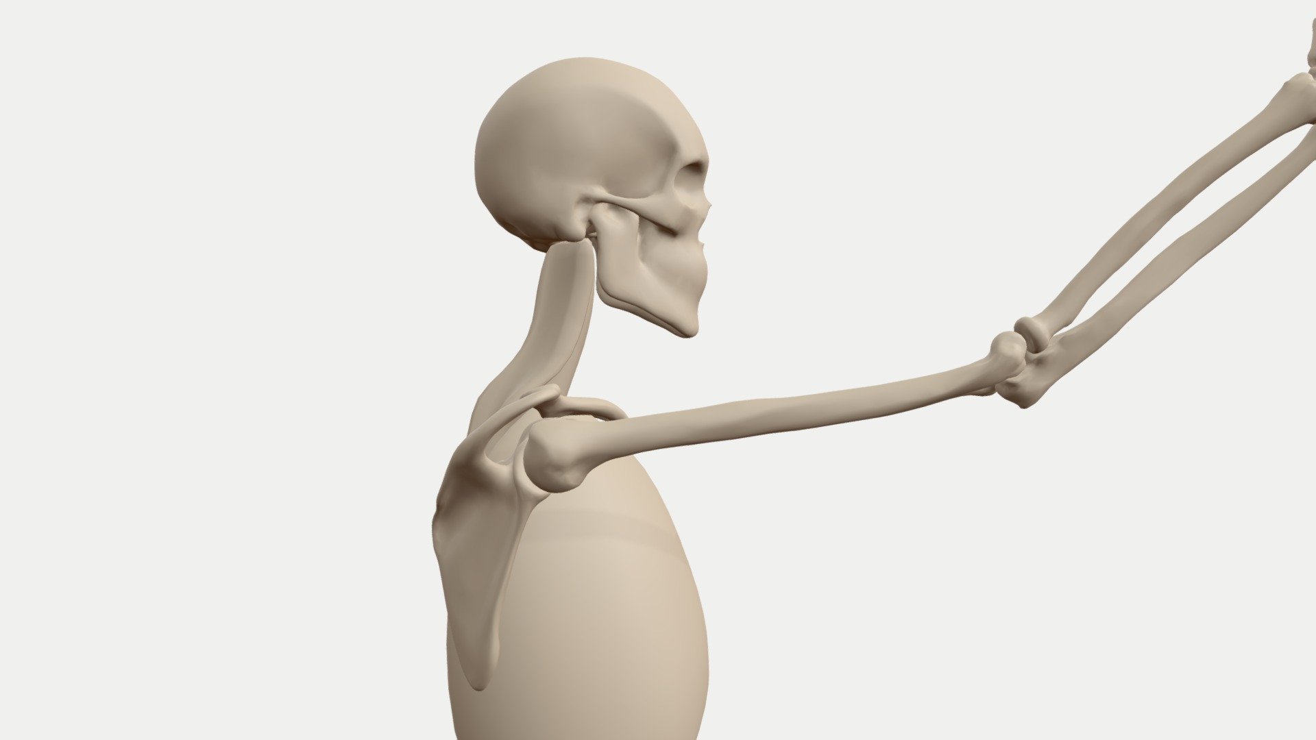 I did this animation as part of my series of blog posts on the movments of the shoulder.

You can read them here:
http://pearsetoomey.com/category/anatomy/ - shoulder flexion animated skeleton - 3D model by pearsetoomey 3d model