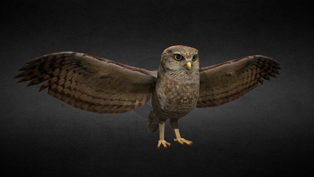 UNIVATES - Coruja
Owl Eagle Low Poly - UNIVATES - Coruja - 3D model by gobikerstreet 3d model