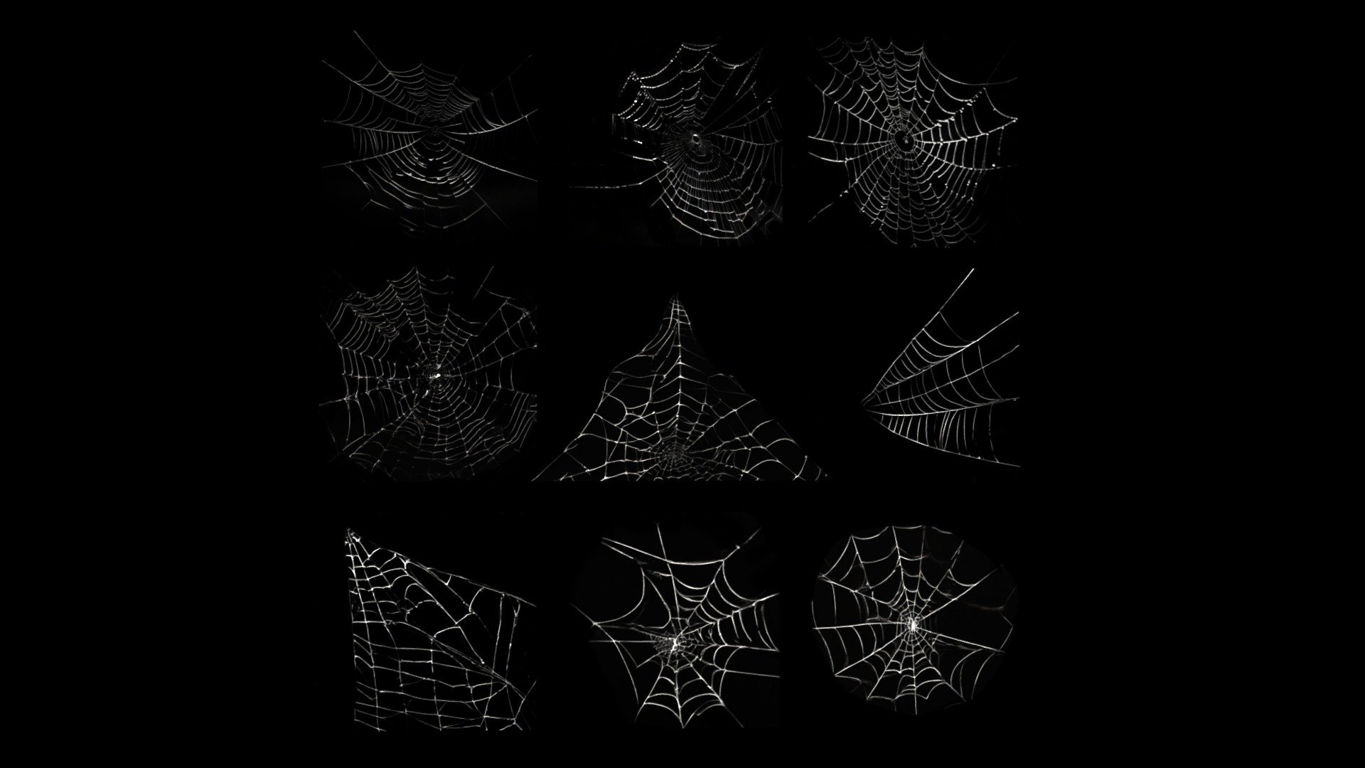 Spider Webs Pack One 
VR / AR / Low-poly
Geometry Polygon mesh
Polygons 2
Vertices 8
Textures 2K PNG - Spider Webs Pack One - Buy Royalty Free 3D model by GetDeadEntertainment 3d model
