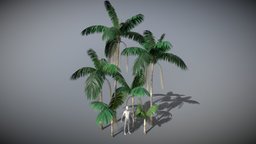 Mauritian Palm Tree Models tree, flora, palm, palmtree, mauritius, lowpoly, gameasset