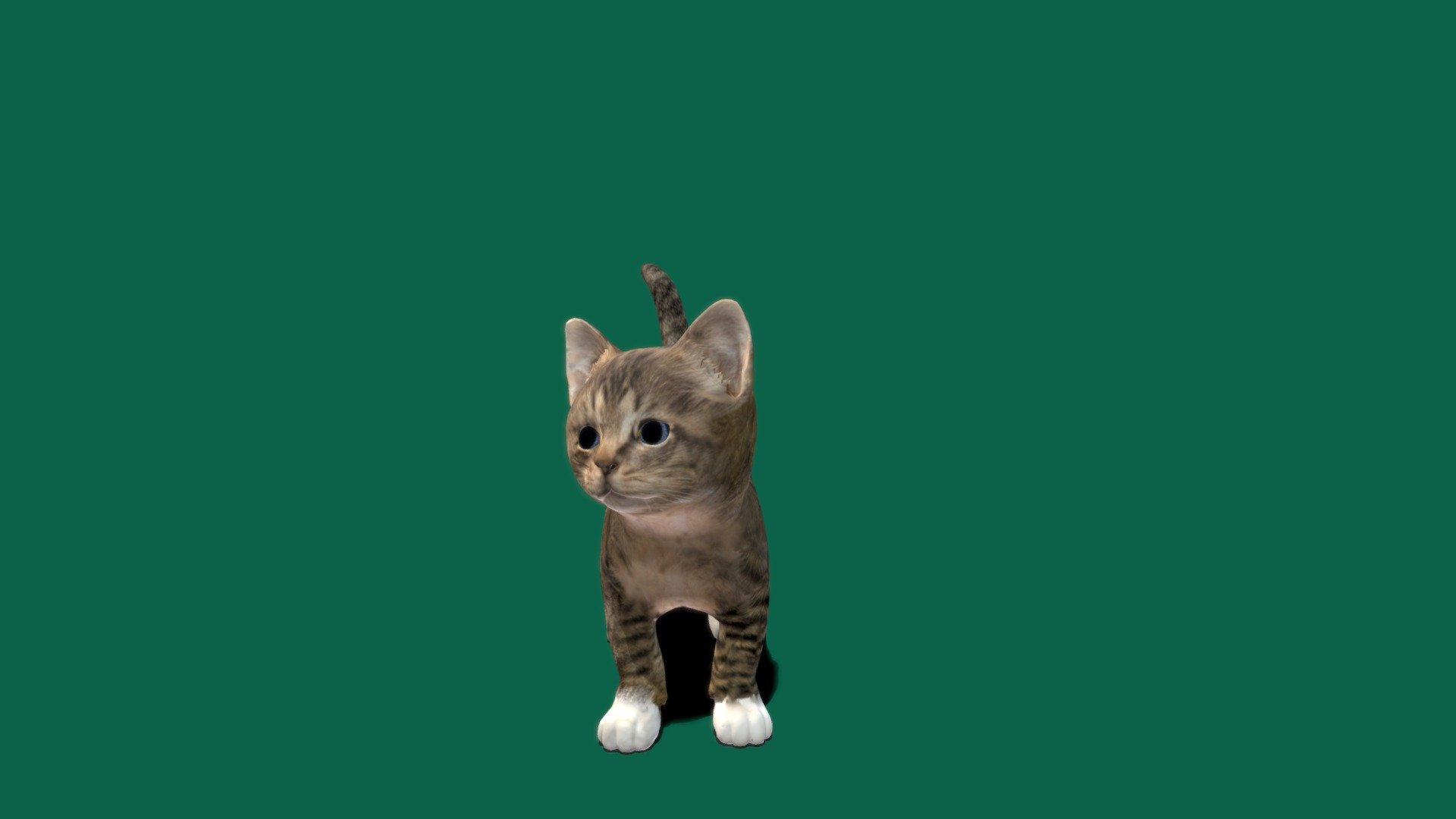 Texture testing Kitten Cat


A kitten is a juvenile cat. After being born, kittens display primary altriciality and are fully dependent on their mothers for survival. They normally do not open their eyes for seven to ten days. After about two weeks, kittens develop quickly and begin to explore the world outside their nest - Kitten_V2 - 3D model by Nyilonelycompany 3d model