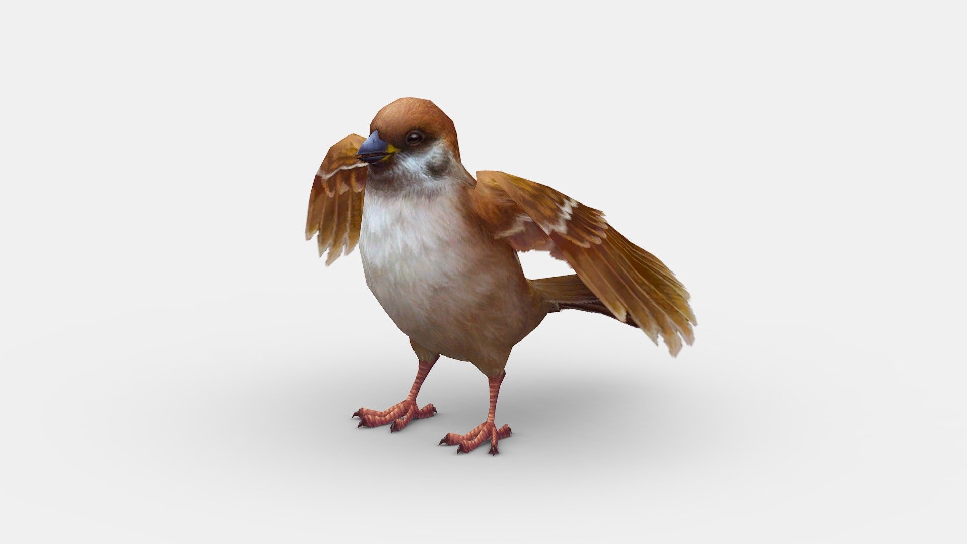 Cartoon sparrow - Cartoon sparrow - Buy Royalty Free 3D model by ler_cartoon (@lerrrrr) 3d model