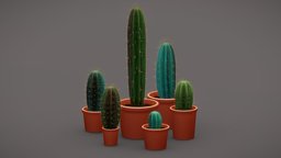 Cacti in pots plant, studio, cactus, hd, prop, reality, gameprop, deco, new, natural, cacti, realistic, movie, nature, realism, game-prop, game-asset, movieprop, asset, gameasset, home, decoration, cactus-plant, 2022, 3dee, housedecor, movie-prop, movieasset, movie-asset