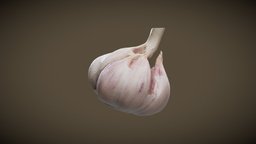 GARLIC 3dscanning, garlic