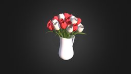 Red and White Tulips plant, red, flower, white, vase, can, indoor, tulip, bloom, floral, watering, bouquet, tulips, petal, decoration, interior