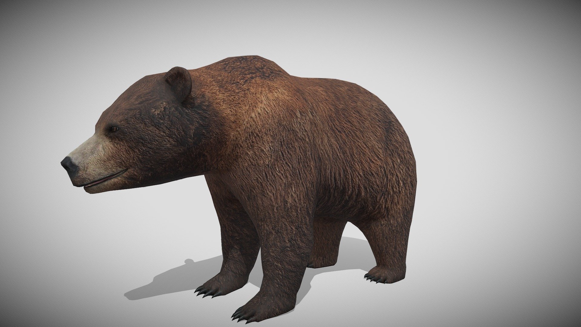 This is a 3d Brown Bear with PBR textures and 34 different animations, with most of the animations you might need in a game. Only 5620 triangles 3d model
