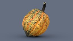 Acorn Squash scene, fruit, raw, grenade, orange, photorealistic, jack-o-lantern, yellow, vegetable, squash, gourd, trickortreat, october31, photogrammetry, scan, decoration, halloween, pumpkin