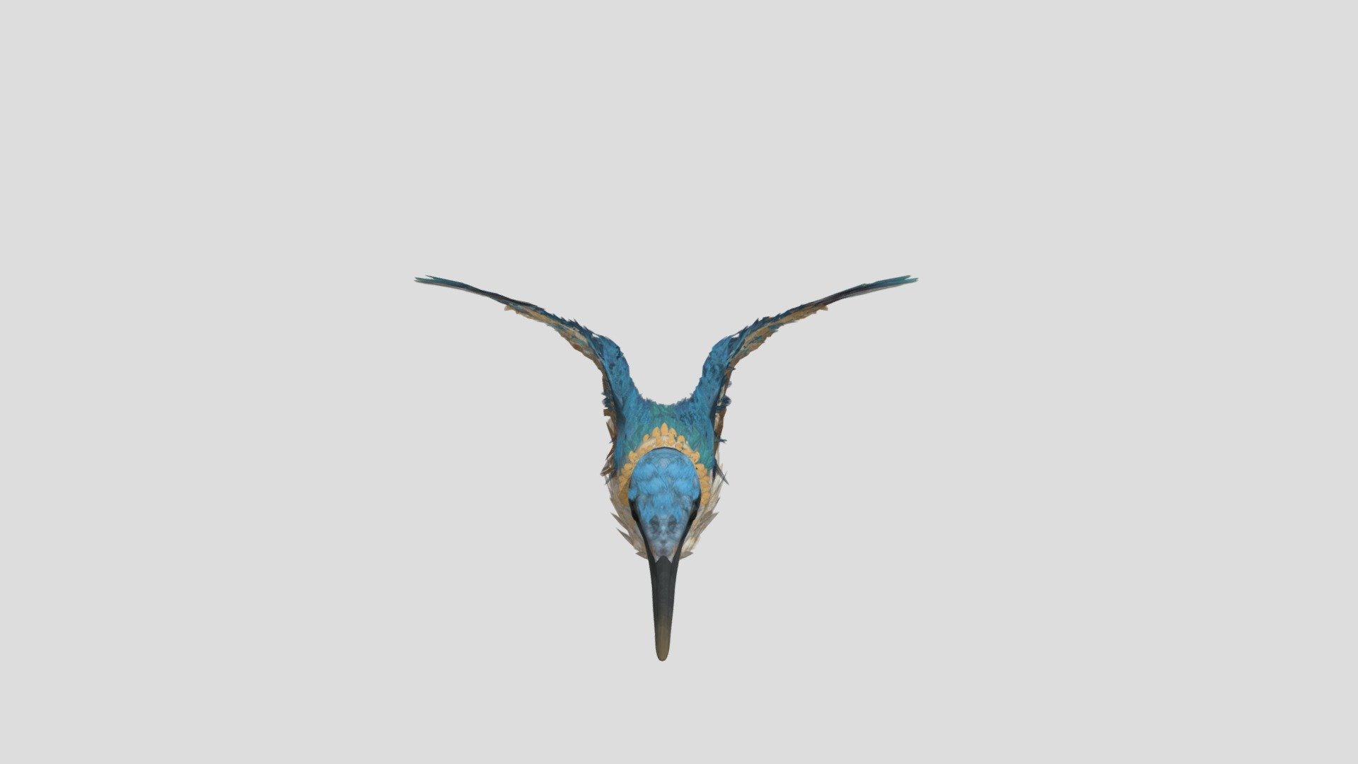 Updated Bird Alex - Download Free 3D model by ahitch3 3d model
