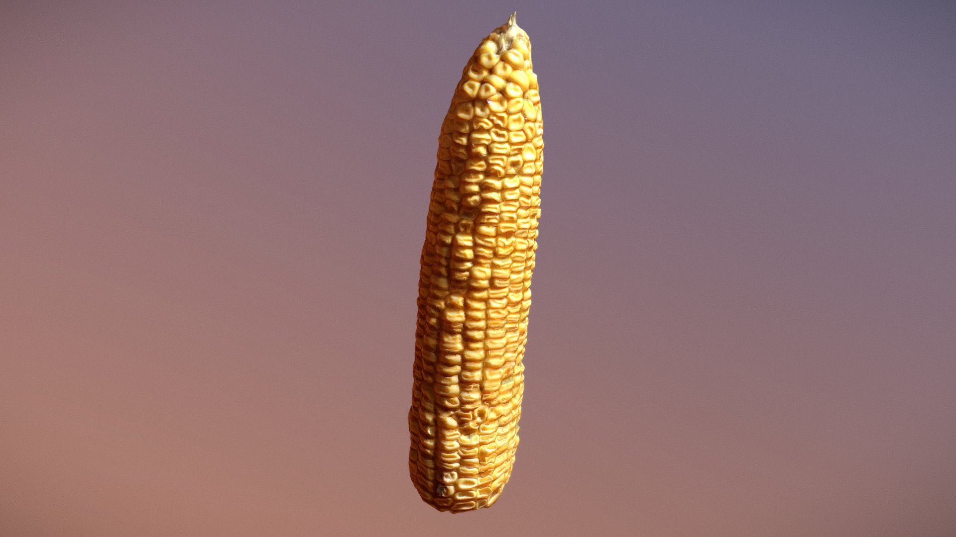Peeled Corn - Corn 2 - 3D model by manucpr 3d model