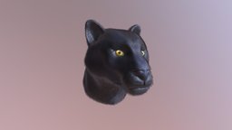 Panther head sculpted, animals, head, models, panther, furry, zbrush