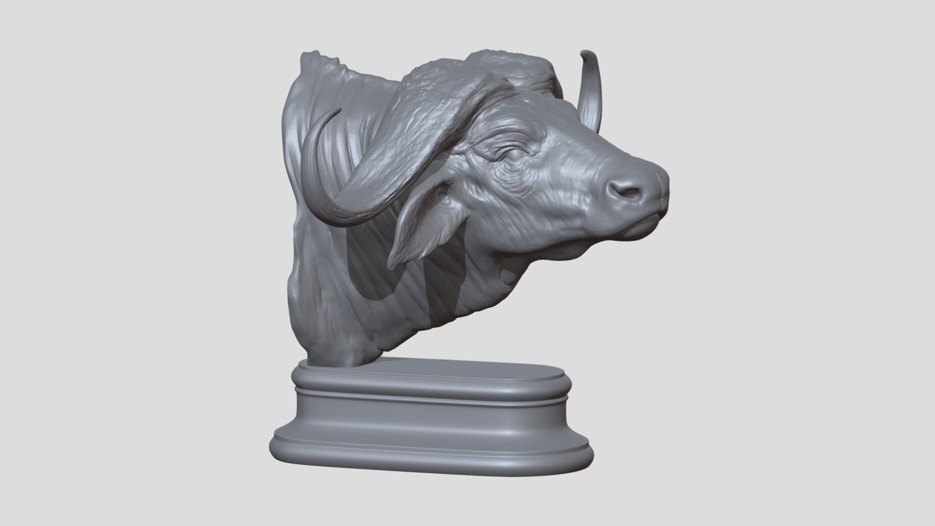 Buffalo African Head High Poly, sculpted in ZBrush 2021.

2 Parts

Ideal for printing 3D

Compositions

Decoration

Motion graphics - Destruction of solids

Etc....

Does not contain UVs Maps

Piece with 15 cm

You need to unzip the files.

Files :

FBX

Does not contain lighting

I hope it will be useful in your project !

Thank you for visiting my models !! - Buffalo African Head - Buy Royalty Free 3D model by aleexstudios 3d model