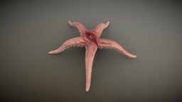 Asteroculus [Colour] alien, starfish, monster