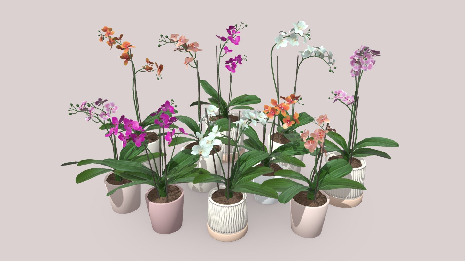 Handpainted orchids made for House Flipper 2 https://store.steampowered.com/app/1190970/House_Flipper_2/ 

Done in Blender, Substance Painter and Substance Designer. Pots created by my friend, Aleksander Pantopulos 3d model