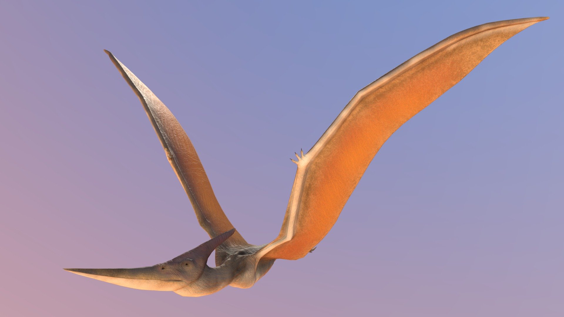 Pteranodon - Game Model - - 3D model by 3D Rasputin (@3DRasputin) 3d model