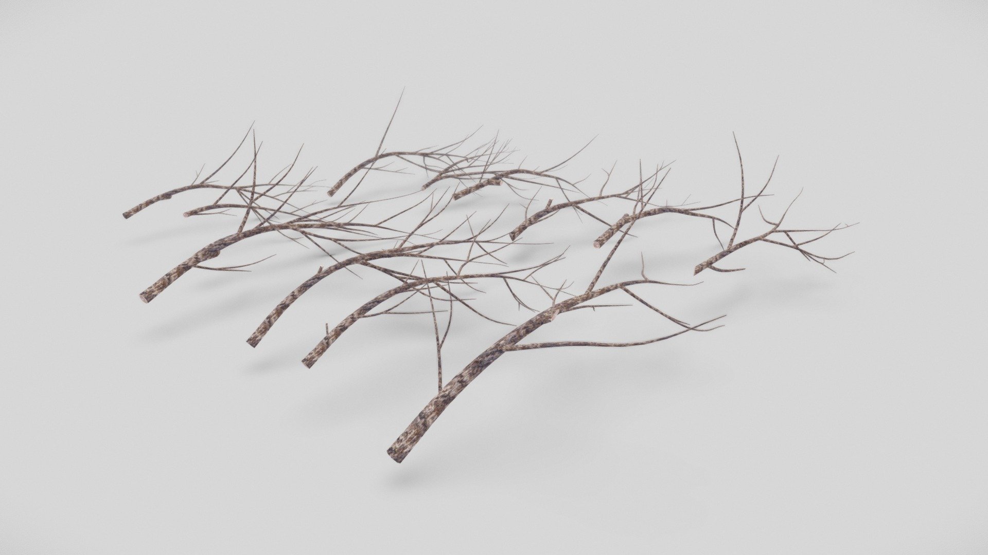 A collection of 13 low-poly branches for use as decoration or as a piece within your scene. The branches come with public domain textures and UVS that allow for easily swapping materials to whatever you may choose.


Example pieces

 - Twigs & Branches Pack - 3D model by lostdexter 3d model