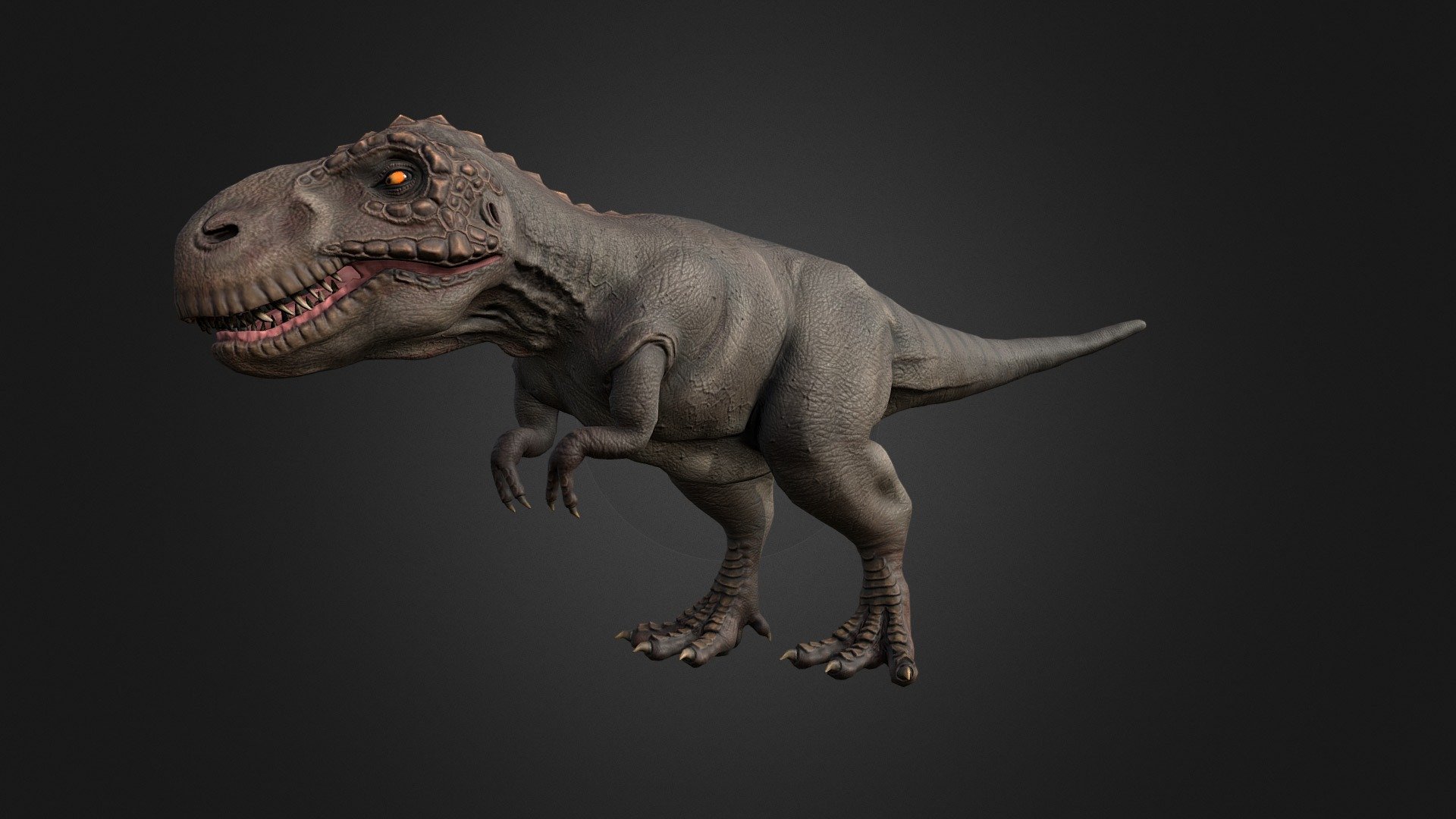 This asset has Tyrannosaurus model.

Model has 4 LOD.


24550 tris
16850 tris
10550 tris
5900 tris

Diffuse, normal and metallic / roughness maps (all maps 2048x2048).

105 animations (IP/RM)

Attack(1-6), Walk (F,FL,FR,B,BL,BR), Run (F,FL,FR),Run_attack(1-2), Run_Jump, Trot (F,FL,FR), Trot_Attack(1-2), Swim (F,FL,FR,), Swim_Idle, Swim_turn(Left/Right), Jump_In_Place, Jump_F, Jump (start/landing), Jump_Loop (up, horisontal, down),Hit (F,M,B)(1-2) , Lie (Start/end), Lie_Idle, Sleep (start, idle, end),Sit_Idle (1-2), Sit (start/end), Idle 1-3,Roar 1-2,Roar (run/walk/trot), death (1-3), eat (1-2), pick up food (1-2),Drink start/end, Drink_Idle(1-2) ,Turn (left/right)(45/90*) etc.

If you have any questions, please contact us by mail: Chester9292@mail.ru - Tyrannosaurus - Buy Royalty Free 3D model by Darina3D 3d model
