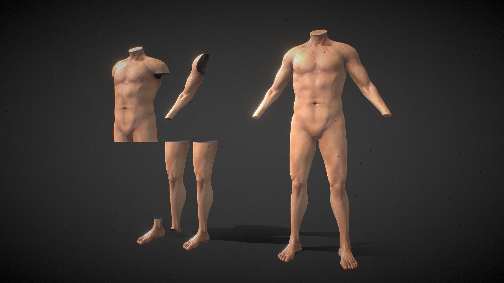 Female Pack - https://skfb.ly/o8YnD

A Full Fit male Anatomy body parts set with Basic Textures.
Perfect for simulatiung tattoos and use in Procreate 3D

For Procreate Make sure to download the Additional file and use the USDZ files if you want to automatically load the model with color texture, otherwise use the OBJ - Fit Male Anatomy - Body parts base mesh pack - Buy Royalty Free 3D model by Deftroy 3d model