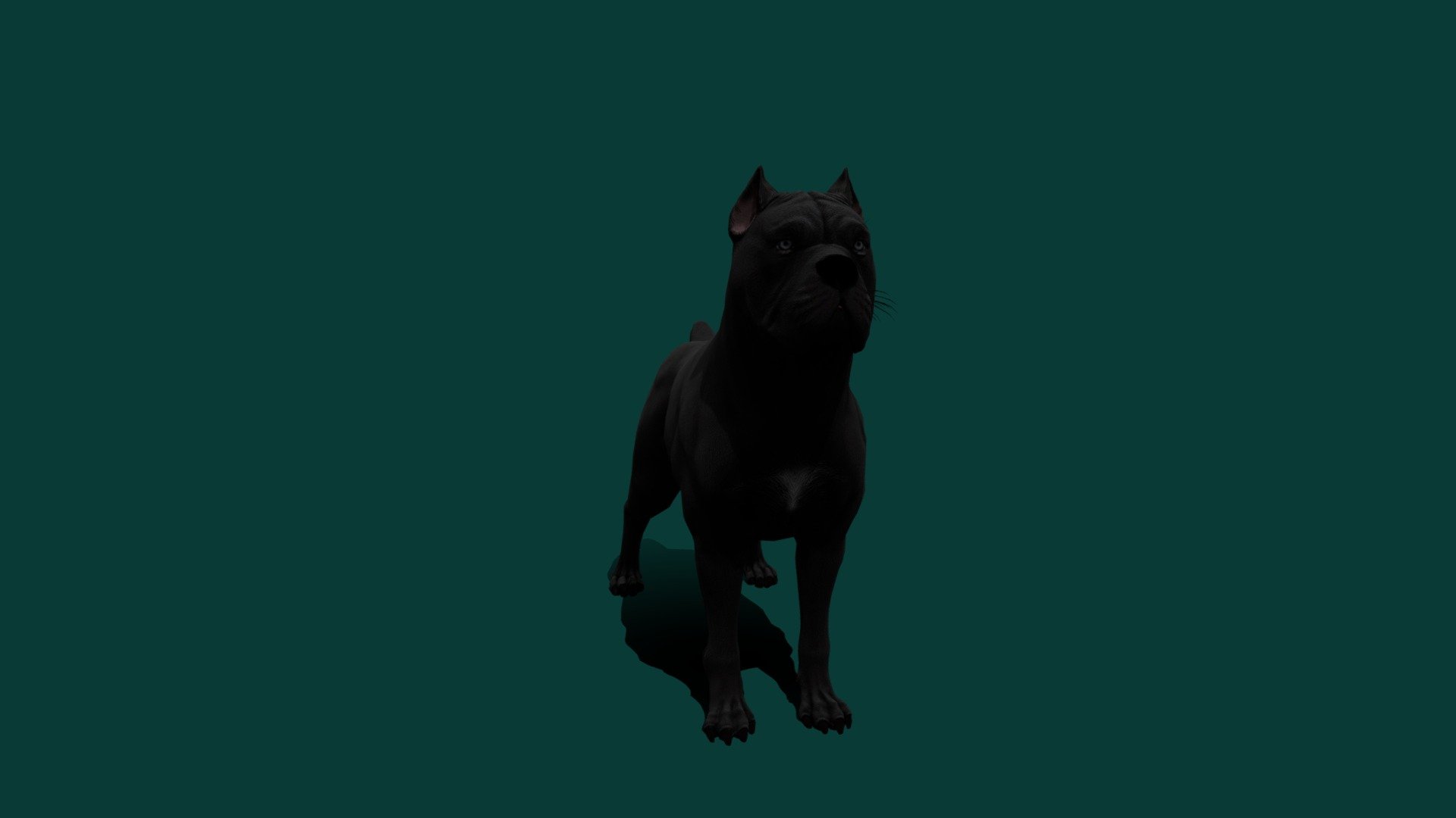 Dog
The Cane Corso is an Italian breed of mastiff. It is usually kept as a companion dog or guard dog; it may also be used to protect livestock. In the past it was used for hunting large game, and also to herd cattle - Canecorso (Non-Commercial) - Download Free 3D model by Nyilonelycompany 3d model