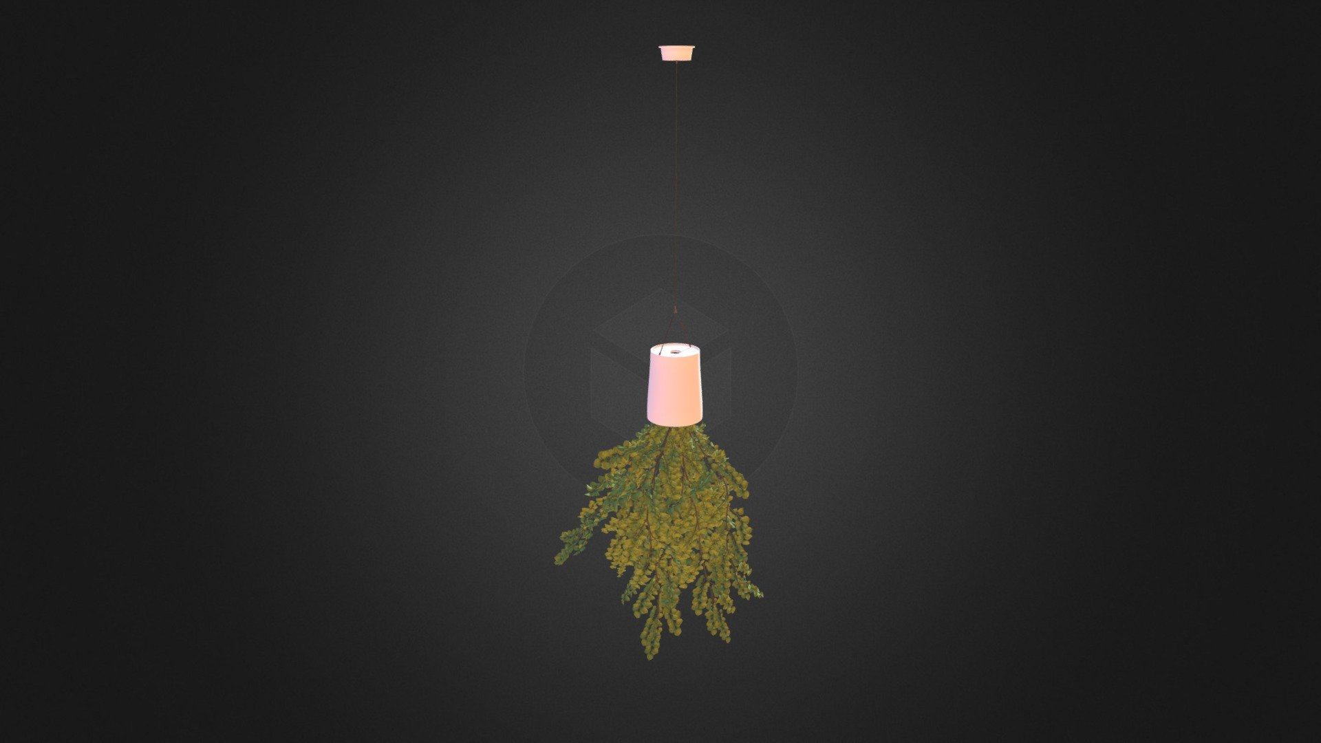 Plant in Inversed Hanging Planter - Plant in Inversed Hanging Planter - Buy Royalty Free 3D model by cgaxis 3d model