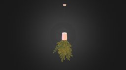 Plant in Inversed Hanging Planter green, plant, pot, white, upside, down, hanging, max, planter, inversed, 3ds, interior, c4d