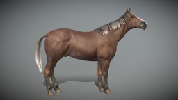 Horse Idle Animated pet, walking, brown, horses, farm, agriculture, walkcycle, idle, horse, animal, animation