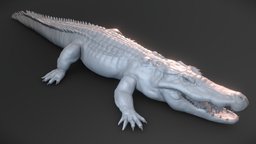 Crocodile basemesh crocodile, reptile, creature, monster