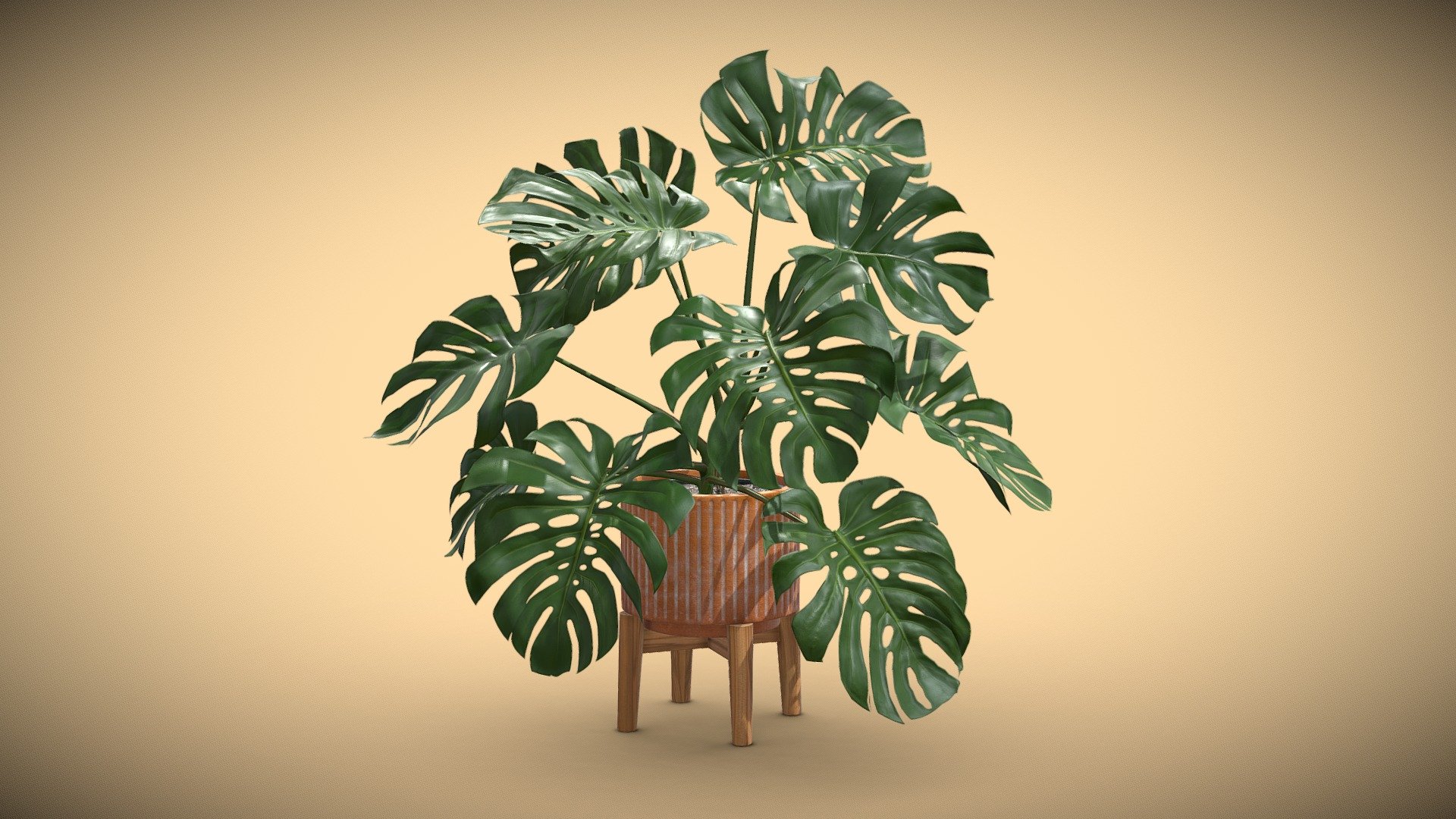 Stand Pot Plant Monstera Deliciosa

Monstera deliciosa is an impressive houseplant that brings drama to a room! This native plant of Mexico and other tropical parts of the Americas features massive, heart-shaped leaves.

4k Textures




Vertices  12 881

Polygons  11 892

Triangles 23 618
 - Stand Pot Plant Monstera Deliciosa - Buy Royalty Free 3D model by AllQuad 3d model