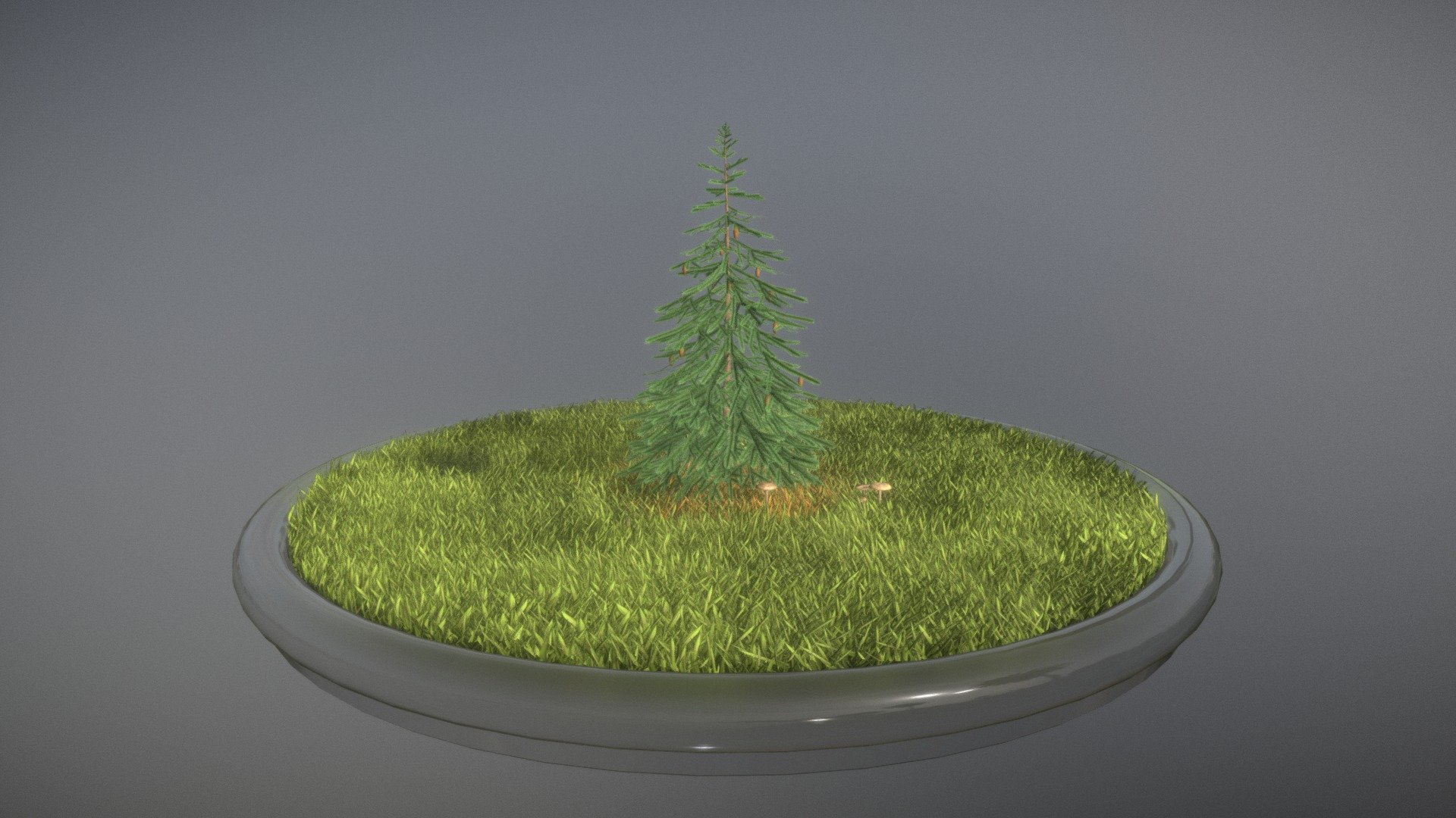 Here is a 4 meter high spruce tree.





Textures:

-Color map

-Normal map



Here on Sketchfab you can see and purchase some of our 3d-models which we are using in our projects for VIS-All.

This model was created by 3DHaupt for the Software-Service John GmbH.

The model was created in Blender-3d - Spruce Tree - 4 Meter - Buy Royalty Free 3D model by VIS-All-3D (@VIS-All) 3d model