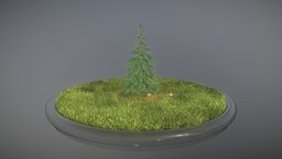 Spruce Tree tree, plant, terrain, evergreen, vegetation, nature, needle, game-ready, spruce, fir, blender-3d, conifer, vis-all-3d, 3dhaupt, software-service-john-gmbh, low-poly