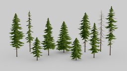 Model_G90 tree, plant, forest, garden, evergreen, nature, pine-tree