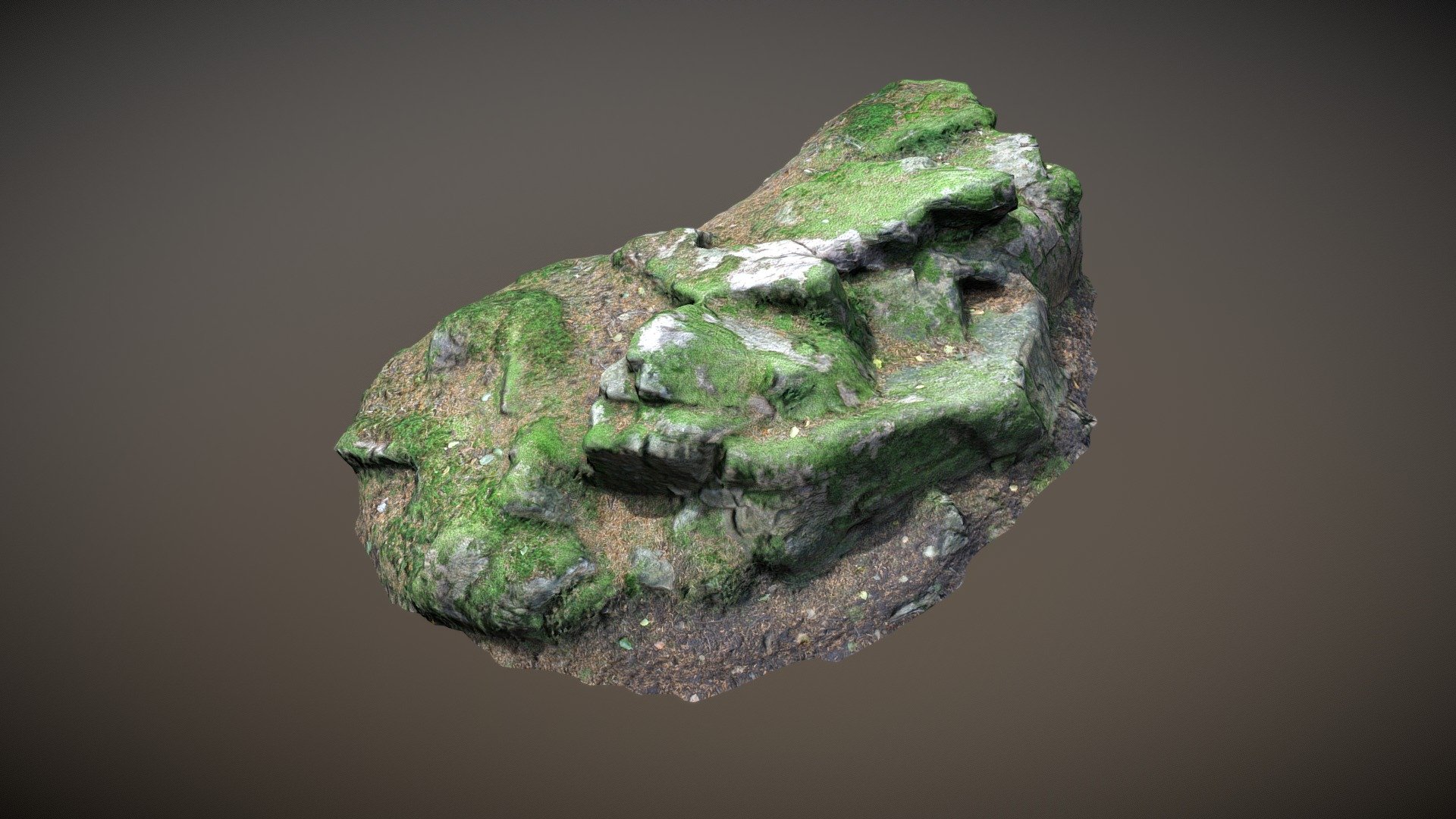 3d scanned ground and stones - Nature Forest Stuff 008 - Buy Royalty Free 3D model by 3drille 3d model