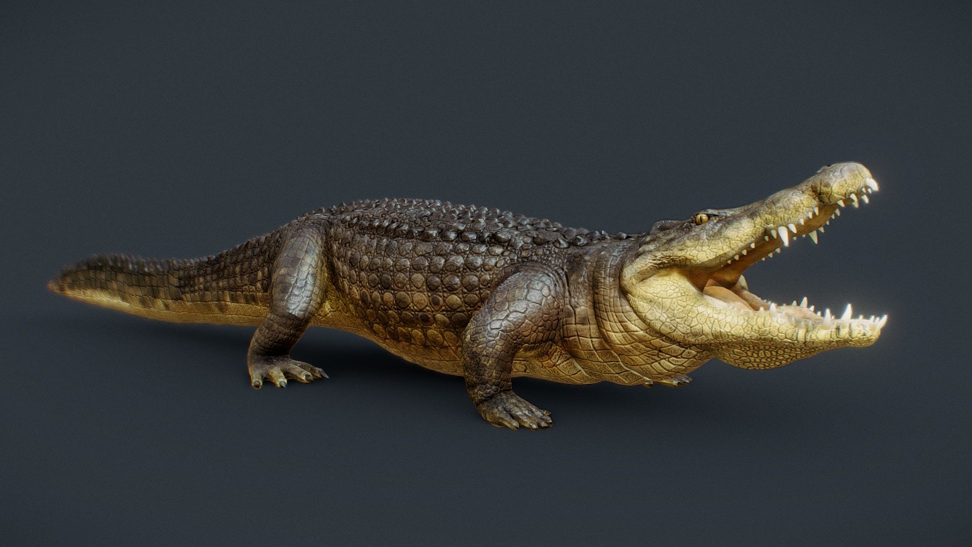 More:
https://www.artstation.com/artwork/3oZLB - African Crocodile - 3D model by aidinsalsabili 3d model