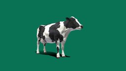 Dairy Milk Cow (Game Ready) cow, animals, mammal, farm, cattle, bos_taurus, creature, animation, gameready, nyi, dairy-cow, nyilonelycompany, noai
